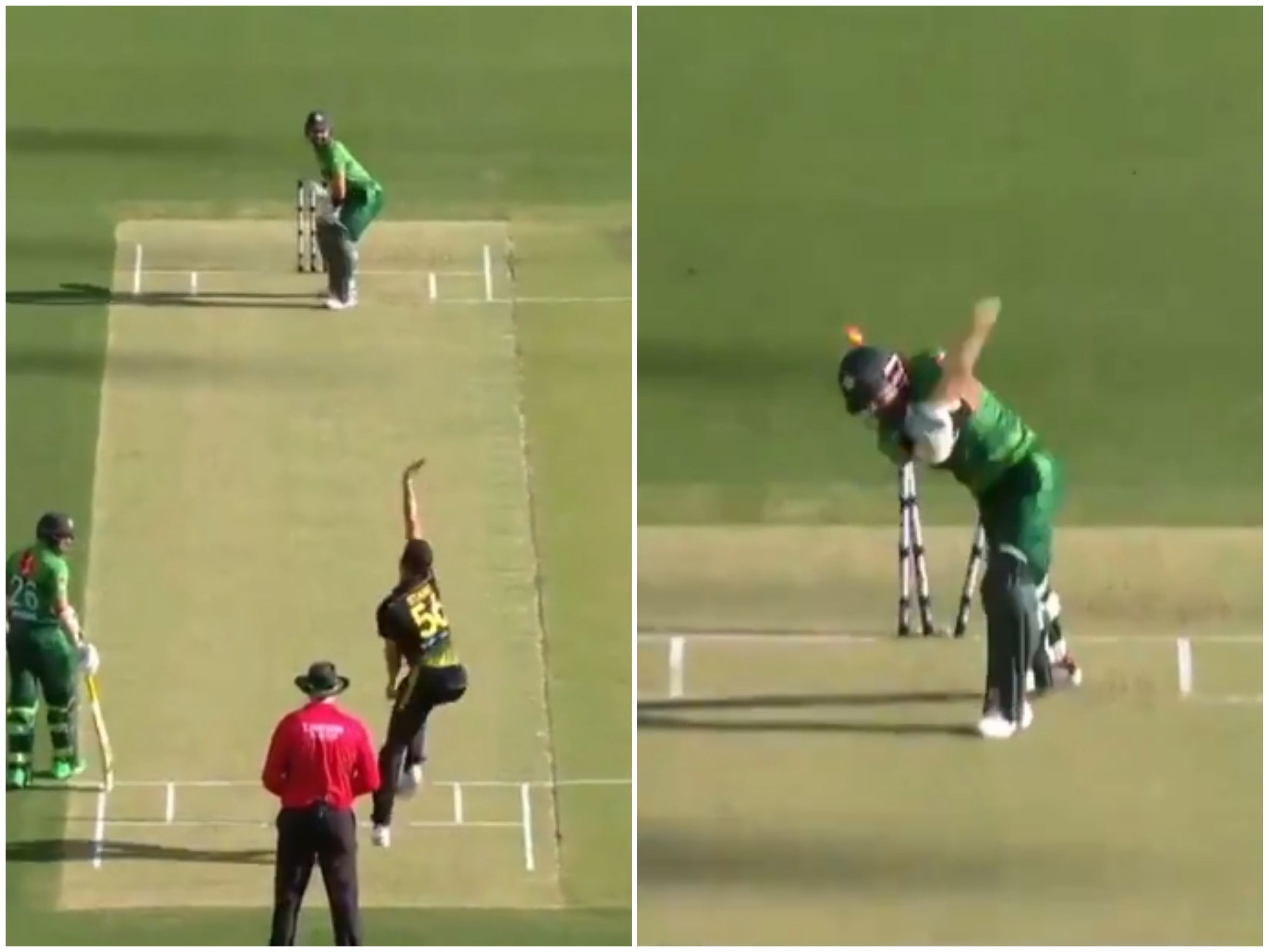 Watch Video | Australian Cricket Team player Mitchell Starc bowled an  unplayable Yorker | Sweep Cricket