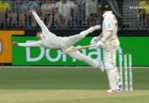 Watch: Steve Smith takes a blinder to dismiss Kane Williamson steve smith catch against New Zealand in first test match at Perth