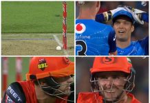 Watch: The ball hits the stumps but the bails do not fall in BBL. What wicket-keeper did next will surprise you! big bash league 2019 10th match Adelaide Strikers vs Perth Scorchers