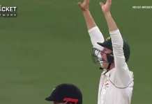 Watch Video | Marnus Labuschagne seen appealing hilariously in 1st test vs New Zealand at Perth Watch Video | Marnus Labuschagne seen appealing hilariously in 1st test vs New Zealand at Perth