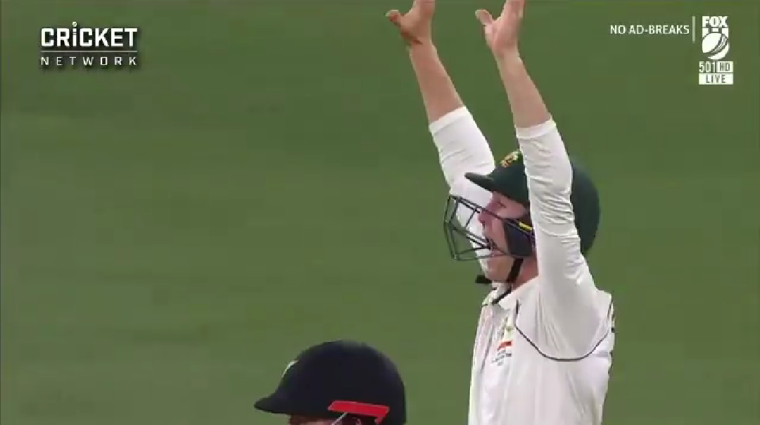 Watch Video | Marnus Labuschagne seen appealing hilariously in 1st test vs New Zealand at Perth