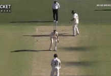 Watch: David Warner’s magical shot drives the ball away from the fielders Watch: David Warner's magical shot drives the ball away from the fielders