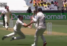 Watch: Tim Southee flies in the air to take a one-handed blinder Tim Southee takes catch in boxing day test against Australia