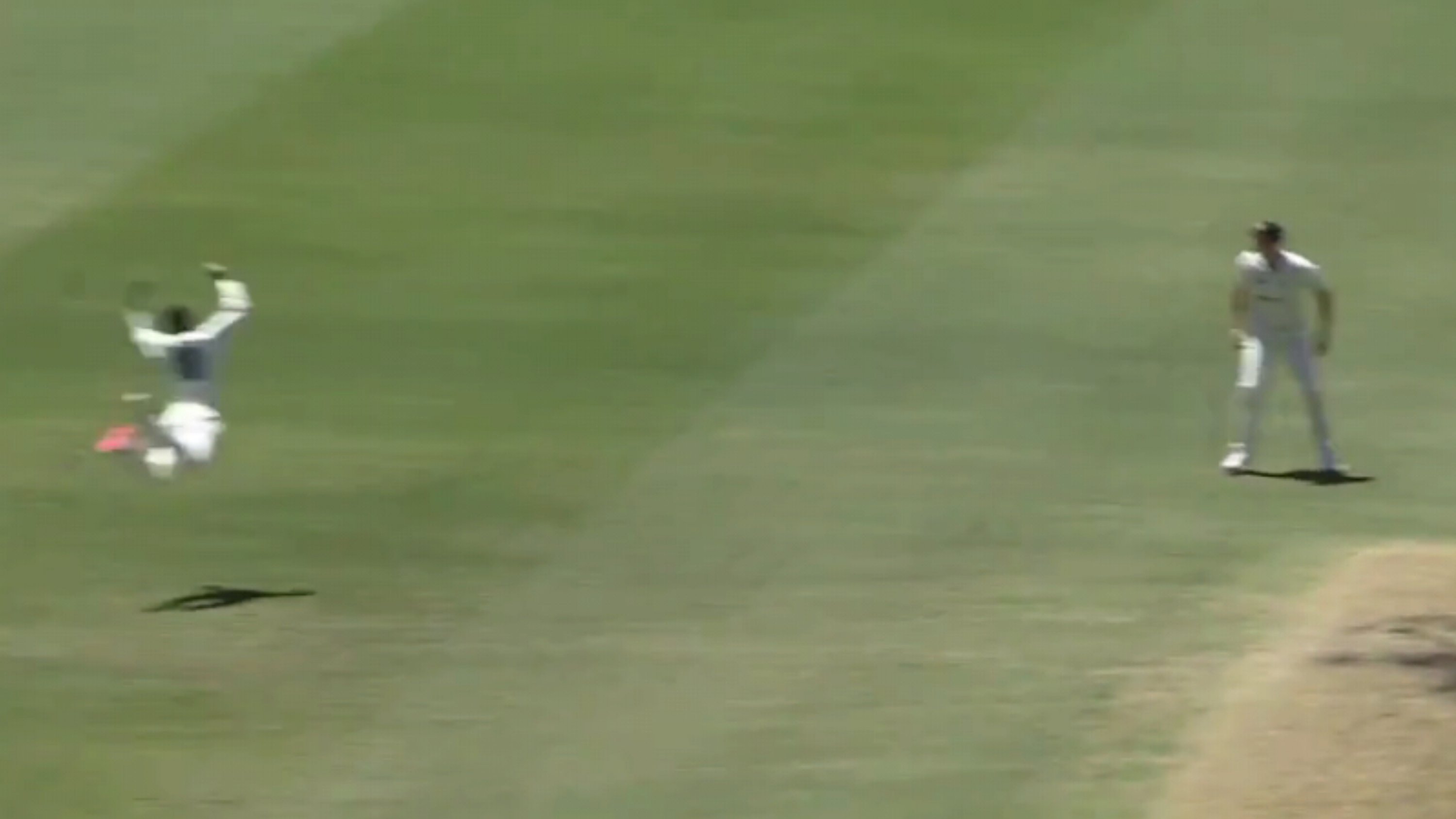 Ashton  Agar takes a marvelous catch in Australia's domestic league