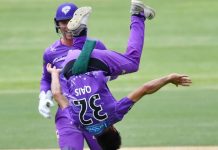Watch video: Afghan Spinner’s Somersault Celebration After Taking Wicket In BBL qais ahmad backflip in big bash league, Qais ahmad, backflip, bbl