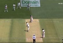 Watch: Tim Southee stuns everyone with the throw at stumps Watch: Tim Southee stuns everyone with the throw at stumps, Australia, new Zealand