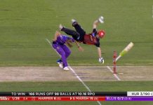 Watch: Horror Collision in BBL match between Sam Harper and Nathan Ellies sam harper and nathan ellis injury, horror collision bbl, sam harper, nathan ellis