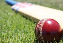 Vincy Premier T-10 League from May 22 Cricket bat and ball