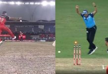 Watch | David Warner got run out in unlucky way against RCB David Warner got run out in unlucky way against RCB
