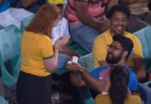 WATCH: Indian fan proposes Australian fan in 2nd ODI at SCG Indian fan proposes Australian female cricket fan