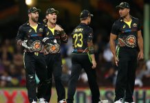 How Australia lost the T20I series after winning the ODI series? Australian Team