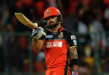 Top 5 batsman with most fifty plus scores in single IPL season Virat Kohli, virat kohli 2016, virat kohli ipl